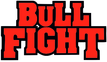 Bullfight (Arcade) Play Online