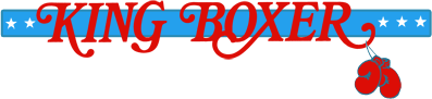 King of Boxer (Arcade) Play Online