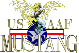 US AAF Mustang (Arcade) Play Online