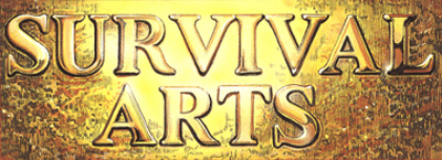 Survival Arts (Arcade) Play Online