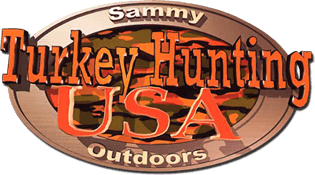 Turkey Hunting USA (Arcade) Play Online