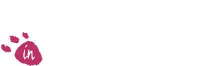 Boomer's Adventure in ASMIK World (Game Boy) Play Online