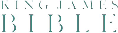 King James Bible (Game Boy) Play Online