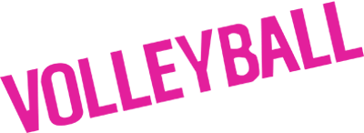 Malibu Beach Volleyball (Game Boy) Play Online