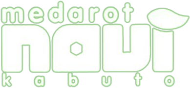 Medarot Navi: Kabuto (GBA) Play Online