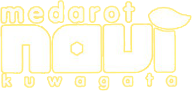 Medarot Navi: Kuwagata (GBA) Play Online