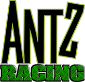 Antz Racing (GBC) Play Online
