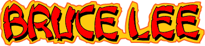 Bruce Lee (MSX) Play Online