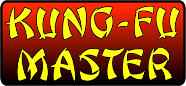 Kung Fu Master (MSX) Play Online
