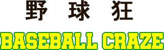 Baseball Craze (MSX) Play Online
