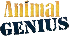 Animal Genius (NDS) Play Online
