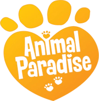 Animal Paradise (NDS) Play Online