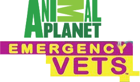 Animal Planet: Emergency Vets (NDS) Play Online