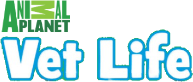 Animal Planet: Vet Life (NDS) Play Online