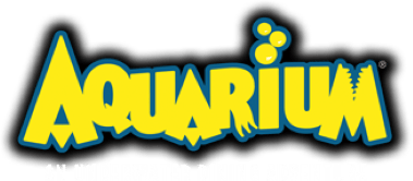 Aquarium by DS (NDS) Play Online