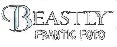 Beastly: Frantic Foto (NDS) Play Online