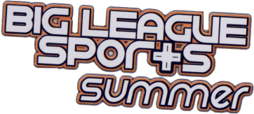 Big League Sports: Summer (NDS) Play Online