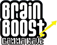 Brain Boost: Gamma Wave (NDS) Play Online