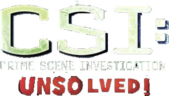 CSI: Unsolved! (NDS) Play Online