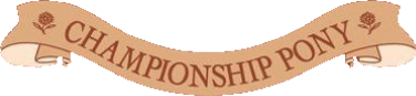Championship Pony (NDS) Play Online