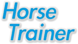 Dreamer Series: Horse Trainer (NDS) Play Online