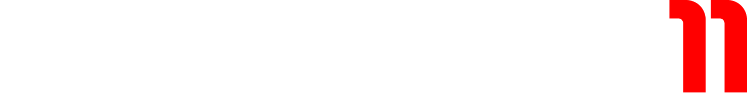 FIFA Soccer 11 (NDS) Play Online