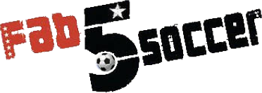Fab 5 Soccer (NDS) Play Online