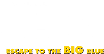 Finding Nemo: Escape to the Big Blue (NDS) Play Online