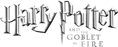 Harry Potter and the Goblet of Fire (NDS) Play Online