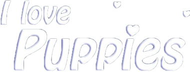 I Love Puppies (NDS) Play Online
