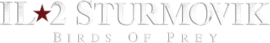 IL-2 Sturmovik (NDS) Play Online