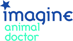 Imagine: Animal Doctor (NDS) Play Online