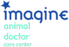 Imagine: Animal Doctor Care Center (NDS) Play Online