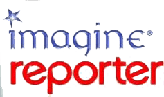 Imagine: Reporter (NDS) Play Online