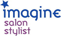 Imagine: Salon Stylist (NDS) Play Online