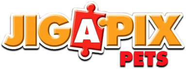 Jig-A-Pix Pets (NDS) Play Online