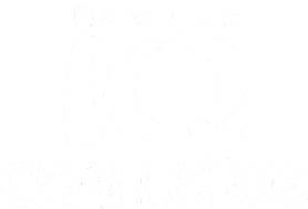 Master Jin Jin's IQ Challenge (NDS) Play Online