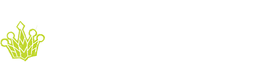 Need for Speed: ProStreet (NDS) Play Online