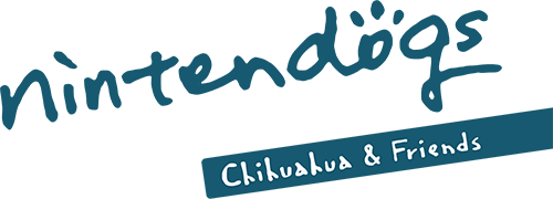 Nintendogs: Chihuahua & Friends (NDS) Play Online