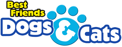 Paws & Claws: Best Friends - Dogs & Cats (NDS) Play Online