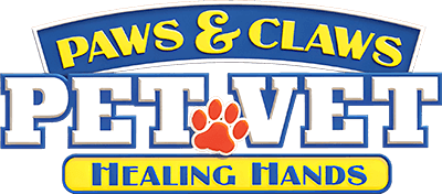 Paws & Claws: Pet Vet 2 (NDS) Play Online
