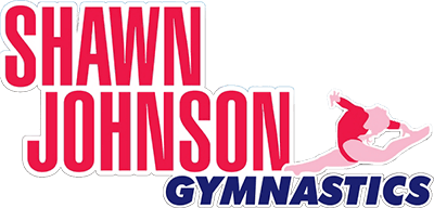 Shawn Johnson Gymnastics (NDS) Play Online