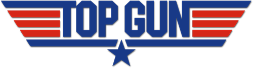 Top Gun (NDS) Play Online