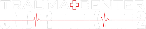 Trauma Center: Under the Knife 2 (NDS) Play Online