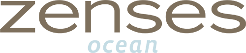 Zenses: Ocean (NDS) Play Online