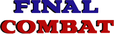 Final Combat (NES) Play Online