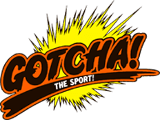 Gotcha! The Sport! (NES) Play Online