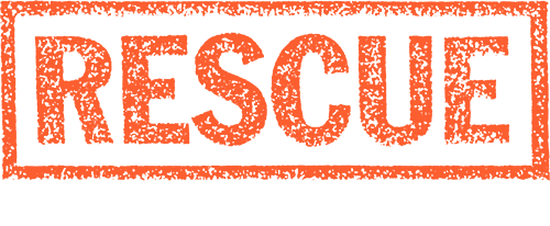 Rescue: The Embassy Mission (NES) Play Online