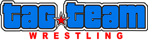 Tag Team Wrestling (NES) Play Online