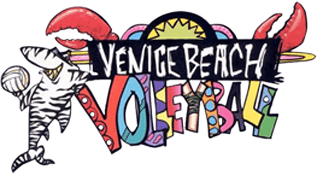 Venice Beach Volleyball (NES) Play Online